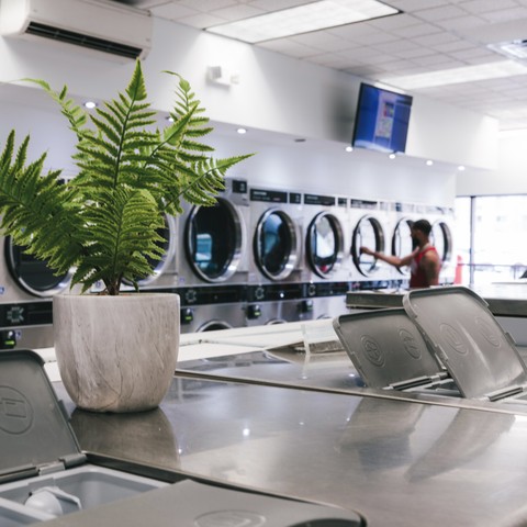 Clean laundromat interior with a row of commercial front-loading washers and a potted fern on the folding counter at Fresh Fold